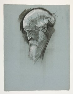 Tutkimus vanhan parrakkaan miehen päästä, kuningas Arthurille tekijältä Edwin Austin Abbey