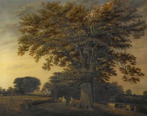 Binley Oak, 1848 tekijältä Edwin Brown