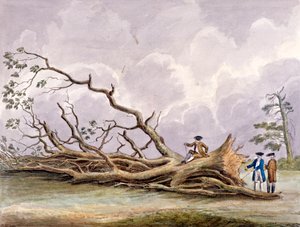 Puut vaurioituivat 15. lokakuuta myrskyssä, Roehampton, Lontoo, 1780