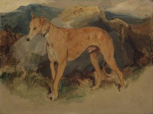 Deerhound, 1826. tekijältä Edwin Landseer