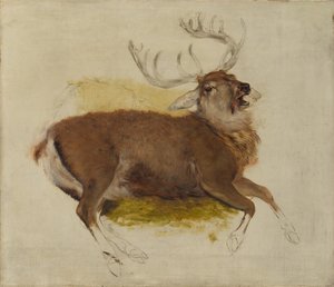 Dying Stag, n. 1830. tekijältä Edwin Landseer