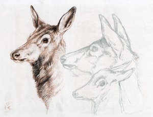 Faksimile Sir E Landseerin piirustuksesta, 1874. tekijältä Edwin Landseer
