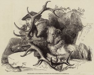 Deer-Stalking Highlands, katselee Body tekijältä Edwin Landseer