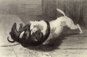 Esimerkki X, koira taistelee apinan kanssa tekijältä Edwin Landseer