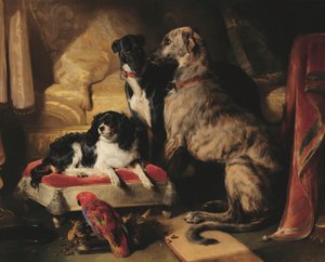 Hector, Nero ja Dash sekä papukaija Lory tekijältä Edwin Landseer