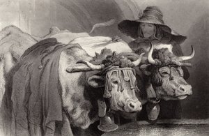 Härät tankin luona, Geneve, Sveitsi tekijältä Edwin Landseer