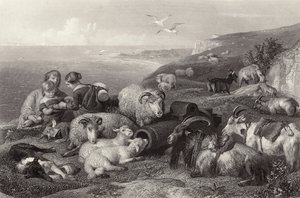 Rauha tekijältä Edwin Landseer