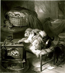 Kissan tassu (kaiverrus) tekijältä Edwin Landseer