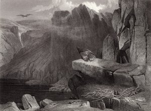 Kotkan pesä tekijältä Edwin Landseer