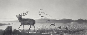 Pelastus tekijältä Edwin Landseer