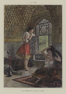 Persian shaahin vaimot