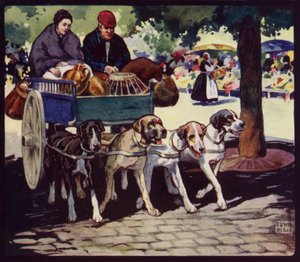 Ranskalainen koirakärry (väri litho)