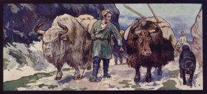 Thibetan Yak Train (värijäsenet) tekijältä Edwin Noble