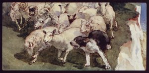 Bobtailed-lammaskoira ja lauma kallioilla (väri litho) tekijältä Edwin Noble