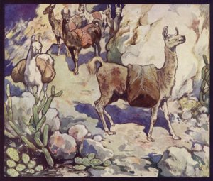 Laamat Andeilla (väri litho)