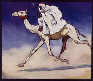 Kilpakameli (väri litho)