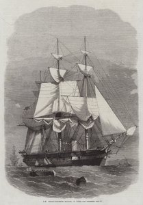 HM Steam-Corvette Racoon, 22 tykkiä