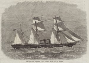 HM Steam-Ship Racehorse, äskettäin haaksirikkoutunut Pechelinlahdella tekijältä Edwin Weedon