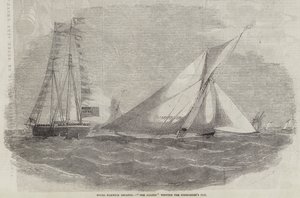 Royal Harwich Regatta, Amazon voitti Commodore
