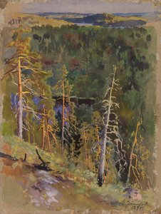 Metsämaisema