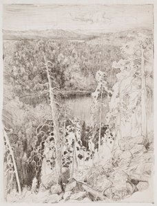 Maisema Kolista; Metsämaisema Räsävaarasta tekijältä Eero Järnefelt