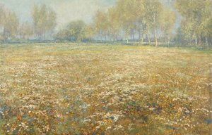 Meadow in Bloom tekijältä Egbert Rubertus Derk Schaap