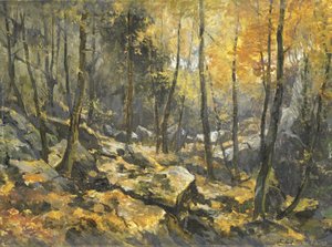  tekijältä Egbert Schaap