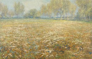 Meadow in Bloom tekijältä Egbert Schaap