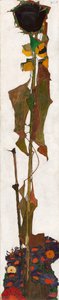 Auringonkukka, 1909-1910. tekijältä Egon Schiele