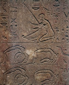 Juhlat harpunsoittajan ja akrobaattien kanssa, reliefi, Hatsepsutin punainen kappeli, rekonstruktio esillä Karnakin museossa, Egyptin sivilisaatio, Uusi valtakunta, XVIII dynastia tekijältä Egyptian 18th Dynasty
