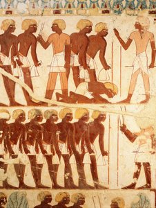 Yksityiskohta freskoista, jotka kuvaavat annoksia vastaanottavaa armeijaa, Userhatin haudasta (TT56) tekijältä Egyptian 18th Dynasty