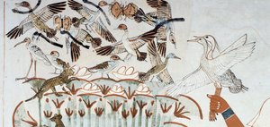 Ankat, pesät, perhoset, kissat ja jyrsijät, yksityiskohta metsästys- ja kalastuspaikalta suolla, fresko, pohjoisseinä, pitkittäiskammio, Theban Tomb TT69, Sheikh Abd el-Qurna, Thebes. Egyptin sivilisaatio, Uusi kuningaskunta, dynastia XVIII. tekijältä Egyptian 18th Dynasty
