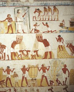 Egypti, Thebes, Luxor, Sheikh 