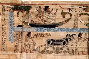 Egyptiläinen antiikin aika: edesmenneen Anerin nimi edustaa Osiriksen veneessä kynnyksen ja sielujen punnituksen (psykostaasi) kohtausta. Papyrus kuolleiden kirjasta, 20. dynastia, Thebasta. Torino, egyptiläinen museo - Muinainen Egypti: kuolleiden nimi tekijältä Egyptian 18th Dynasty