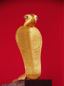 Kobra Netjer-Ankh Tutankhamonin haudasta (n. 1370-1352 eKr.) Uusi kuningaskunta (kullattua puuta)