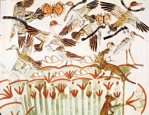 Kalastusta ja lintuja suoilla, yksityiskohta lintuista, Mennan hautakappelista, Uudesta kuningaskunnasta (seinämaalaus) tekijältä Egyptian 18th Dynasty