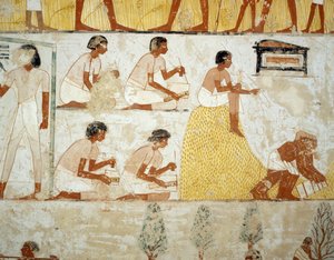 Sadonkorjuu, viljan puinti ja keruu, yksityiskohta freskoista Mennan haudan eteiseen, Sheikh Abd el Qurnah Necropolis, Luxor, Thebes (Unescon maailmanperintöluettelo) tekijältä Egyptian 18th Dynasty