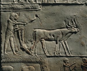 Horemheb kyntää maata Iarun pelloilla. Reliefi Horemhebin haudasta Saqkarassa, yksityiskohta. tekijältä Egyptian 18th Dynasty