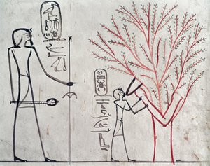 Isis metamorfoi tuthmosis III:ta (n. 1479-1425 eKr.) imeväksi sykomoripuuksi (seinämaalaus) tekijältä Egyptian 18th Dynasty