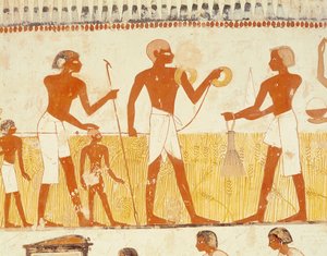 Maan mittaaminen köydellä, Mennan hautakappelista, Uudesta kuningaskunnasta (seinämaalaus) (katso myös 251666)