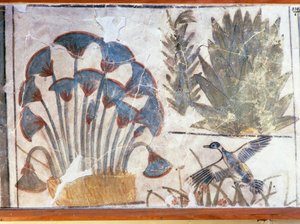 Maalaus, joka kuvaa ankkaa kasvien välissä, Ekenatonin palatsista, El-Awarasta, Egyptistä. tekijältä Egyptian 18th Dynasty
