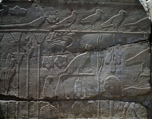 Kasvit ja eläimet, jotka tuotiin takaisin Thutmose III:n Syyrian-retkeltä vuonna 1465 eaa., yksityiskohta reliefistä, niin kutsuttu kasvitieteellinen puutarha, Amunin temppeli, Karnakin temppelikompleksi, egyptiläinen sivilisaatio, uusi kuningaskunta, dyna tekijältä Egyptian 18th Dynasty