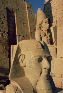 Ramses II:n (1298-32 eKr.) Uuden kuningaskunnan kolossaalinen pää