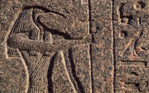 Kuvaus Thotista, yksityiskohta kaiverruksesta ja reliefistä Thotista ja Horuksesta, Amenhotepin sarkofagi, Memphis (Unescon maailmanperintöluettelo) tekijältä Egyptian 19th Dynasty