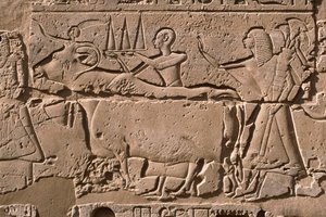 Yksityiskohta reliefistä, joka kuvaa miehiä, jotka johtavat lehmää, Ramses II (1298-32 eKr.) piha (kalkkikivi) tekijältä Egyptian 19th Dynasty