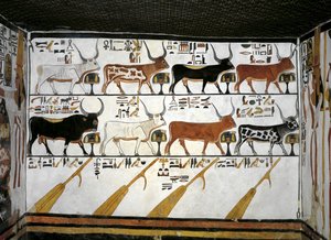 Egypti, Thebes, Luxor, Kuningattaren laakso, Nefertarin hauta, eteisammion lisärakennus, seinämaalauksia, kuvitettu kuolleiden kirja, luku 89 tekijältä Egyptian 19th Dynasty