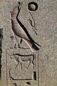 Hieroglyfi, jossa Horuksen nimi, Amunin suuri temppeli, Tanis, Egypti, Uusi valtakunta, XIX dynastia tekijältä Egyptian 19th Dynasty