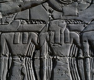 Haukkanaamioinen pappi, yksityiskohta kohtauksesta, joka esittää Ramesses II:ta pyhän veneen edessä, reliefi, Suuren hypostyylisalin sisäseinät, Karnakin temppelikompleksi (Unescon maailmanperintöluettelo). tekijältä Egyptian 19th Dynasty