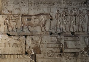 Relief, Ramses II:n temppeli, Abydos, Egypti, Egyptin sivilisaatio, Uusi kuningaskunta, XIX-dynastia (kuva) tekijältä Egyptian 19th Dynasty