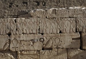 Relief, Ramses II:n temppeli, Abydos, Egypti, Egyptin sivilisaatio, Uusi kuningaskunta, XIX-dynastia (kuva) tekijältä Egyptian 19th Dynasty